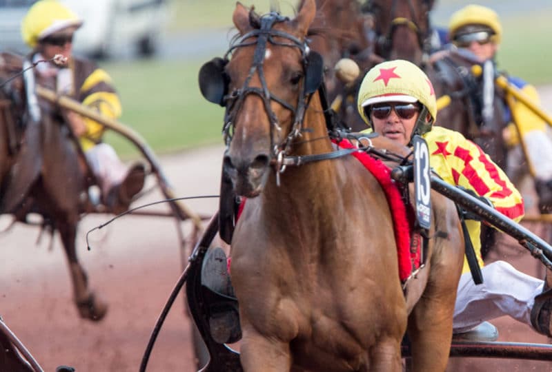 Horse and jockey at the races in Calvados