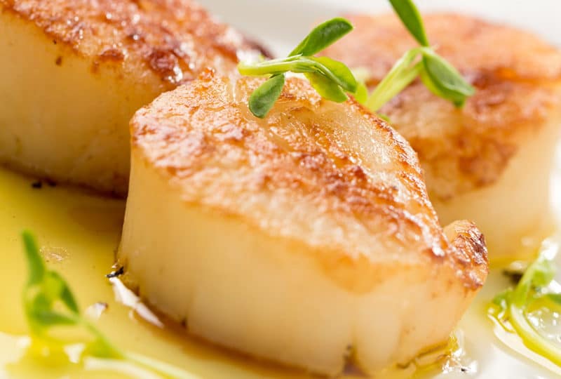 Coquilles Saint-Jacques