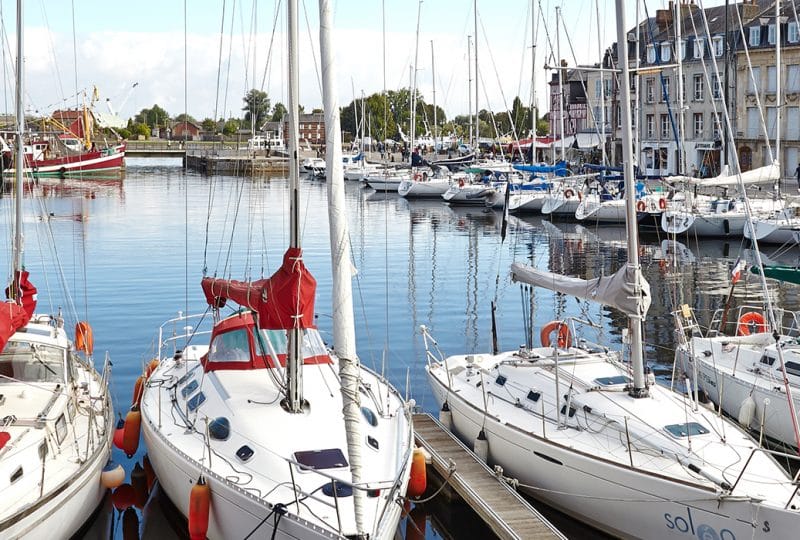 Yachts berthed in a marina