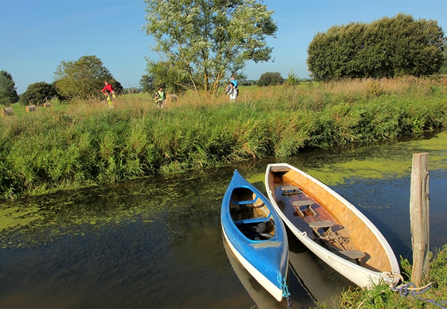 The Neuilly marshes