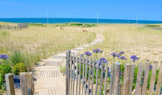 Chemin menant à la plage de Cabourg