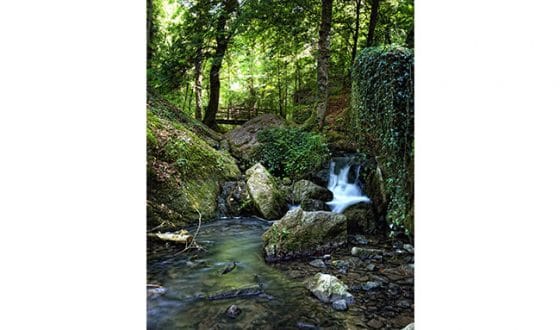 Nature et ruisseau à la brèche au diable 