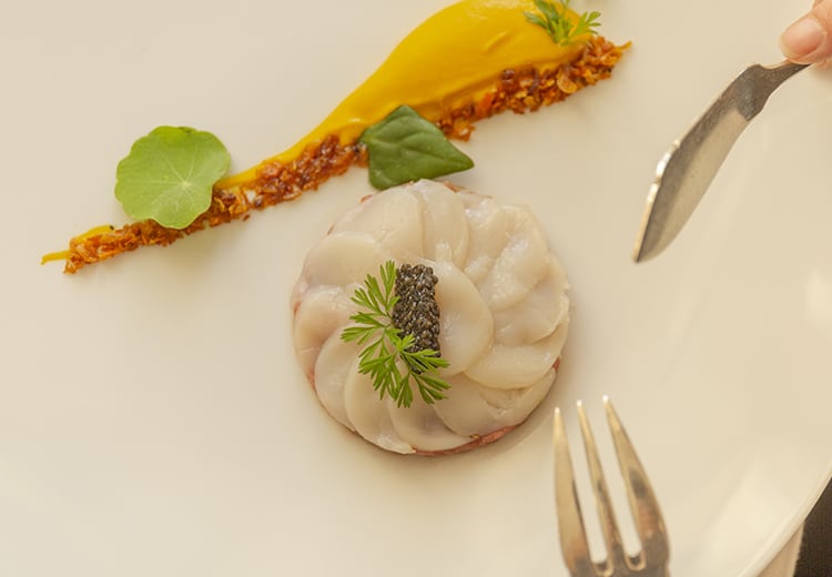 Assiette de coquilles saint-jacques