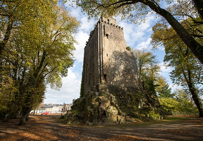 Donjon entouré de verdure